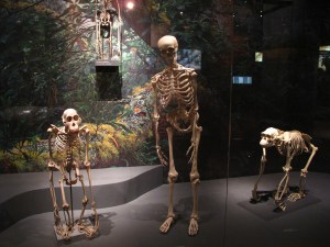 Sehen sich doch ähnlich