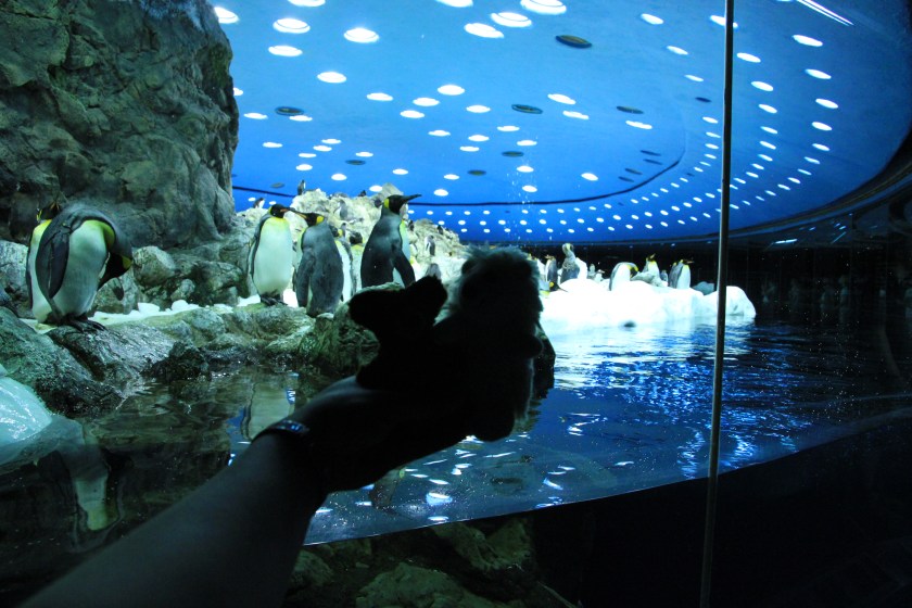 Ein Blitz wär da aber auch blöd gewesen ;-) Dann halt im Dunkeln.