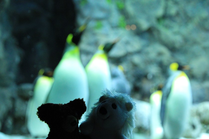 Mich erkennt man immer an den Umrissen :-)