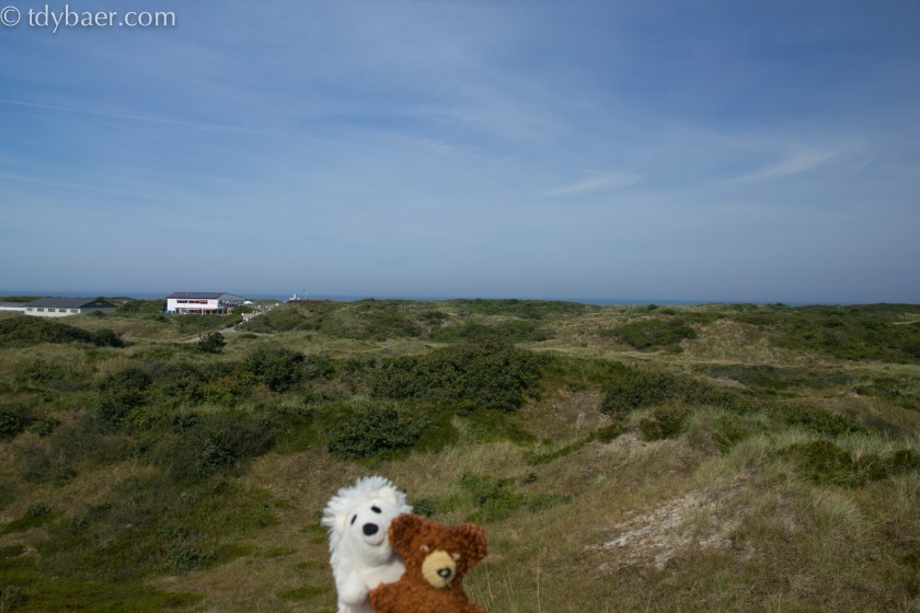 Aussicht in die Dünen