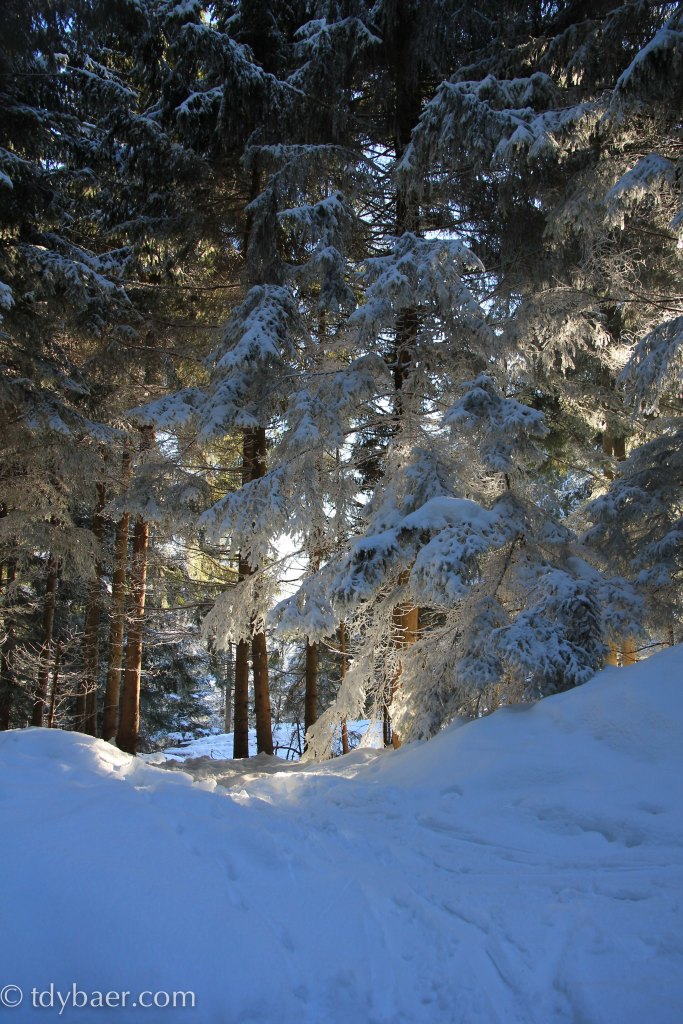 Die Sonne geht unter :-)