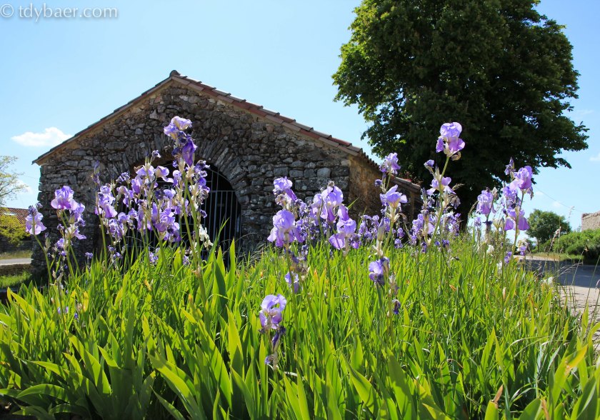 Cirque de Navacelles