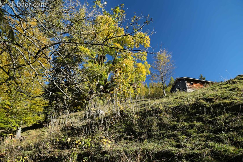 Auf auf - auf den Berg